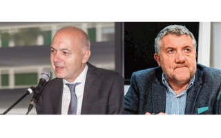 Presidential Elections in Germany and Ireland