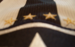 FIFA Imposes Registration Ban on Botafogo