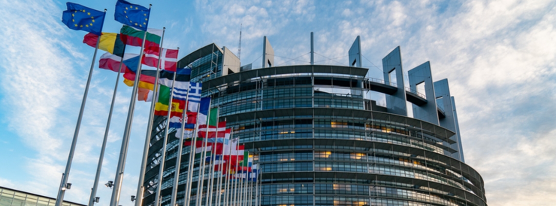 FIFA Praises European Parliament Endorsement of Transfer Reform Process content image